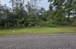 COOL BRANCH RD, Georgetown, GA 39854