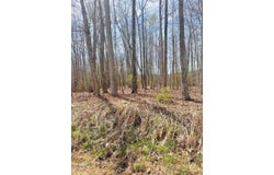 272 LEEDS LN, SHADY SPRING, WV 25918
