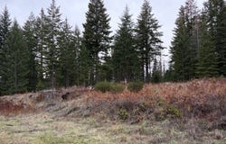 Meadowood Road, Weston, OR 97886
