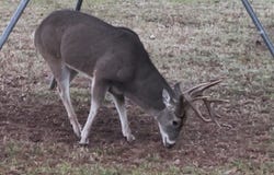 4489 E FM 120, Denison, TX 75021