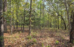 Forbes Road, Edwards, MO 65326