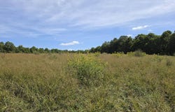 Old Pluto Rd., Shady Spring, WV 25918