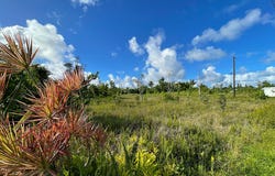KAPOHANALU ST, Pahoa, HI 96778