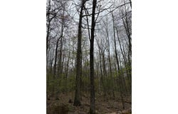 10513 Hilltop Drive, Corning, NY 14830