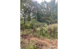 Burns Road, Greer, SC 29651