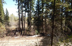 1601 Bear Trail Loop, Donnelly, ID 83615