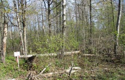 28 1/8 Avenue lot: #24, Birchwood, WI 54817