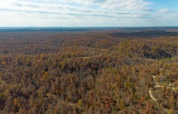 15682 Winding Trail, Birch Tree, MO 65438