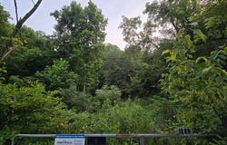 Volunteer Rd, Rutledge, TN 37861