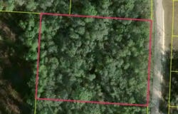 34253 BERRYHILL Drive, WEBSTER, FL 33597