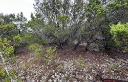 20600 Trinity Cv, Lago Vista, TX 78645