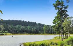 10024 County Road 207, Centerville, TX 75833