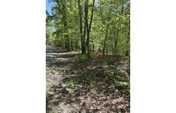 DAVIS Lane, ARODA, VA 22709