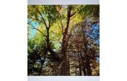 Lead Mine Road, Lubec, ME 04652