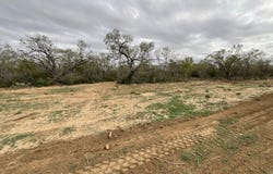 137 SYLASHAYES LOOP, Pleasanton, TX 78064