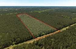 L28379 CR 403, San Augustine, TX 75972