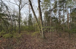 0 Salem Road, Centerville, TN 37033