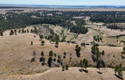 Gruenhagen Rd, Pine Haven, WY 82721
