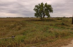 TBD 450th Avenue, Ortley, SD 57256