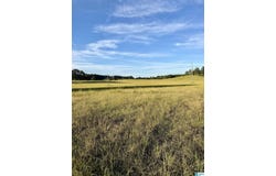 740 WATTS ROAD, MUNFORD, AL 36268