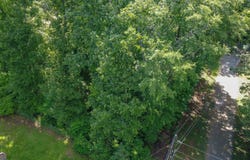 Oakland Drive, Gray, GA 31032