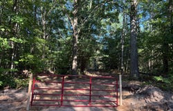 Par 1 & 5 Clements Road, Kaleva, MI 49645