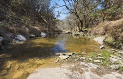 PR 2901 #19, Hamilton, TX 76531