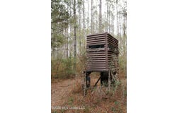 Frog Ridge Road, Jayess, MS 39641