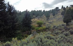 Hillside Dr, Soda Springs, ID 83276