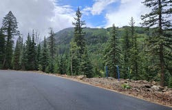 256 Snowden Drive Lot # 3, Durango, CO 81301