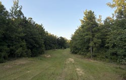 36 County Road 284, THAXTON, MS 38871