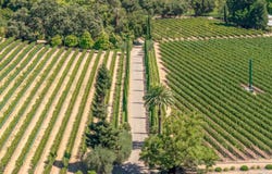 3242 Silverado Trail N, St. Helena, CA 94574