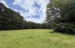 HALL BURTON ROAD lot: 1, SUMITON, AL 35148