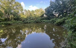 Rt-408, Nunda, NY 14517