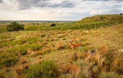 N 1890 Rd, Fargo, OK 73840
