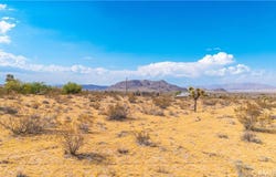 0 Alta Avenue, Yucca Valley, CA 92284