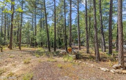 2861 W Young, Show Low, AZ 85901