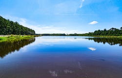 565 Hidden Lake Retreat, Walterboro, SC 29488