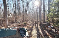 Ryan Terrace, Lebanon, CT 06249