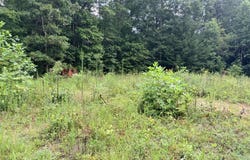 Doe Creek Loop lot: 46, Sparta, TN 38583