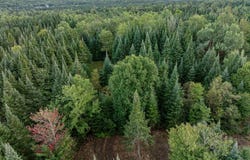 Wood Yard Crossing lot: 2, Pittsburg, NH 03592