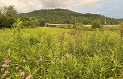 3988 Kentucky 592, Pine Knot, KY 42635