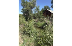 480 Cedar Avenue, Crawford, CO 81428