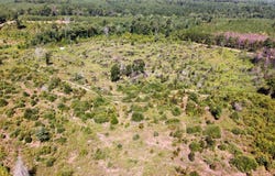 9515 County Road 817, Cushing, TX 75964