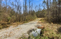 Young Rd, Robbins, TN 37852