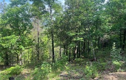 107 Jones Drive, Dover, AR 72837