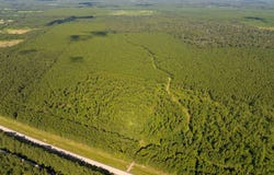 1 Highway 165, Kinder, LA 70648