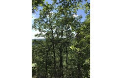 South Fork, Stanton, KY 40380