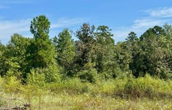 Tract 3 Private Rd 8385, Spurger, TX 77660