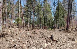TBD Black Creek Road, Skanee, MI 49962